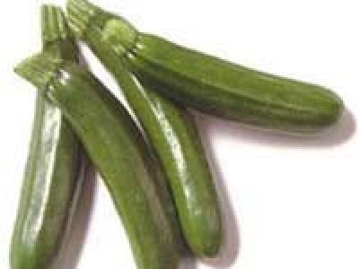 Courgette Tempra Bio