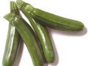 Photo Courgette Tempra Bio
